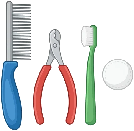 Najważniejsze zasady w skrócie