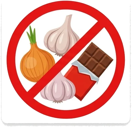 Czego kotu nie wolno jeść?